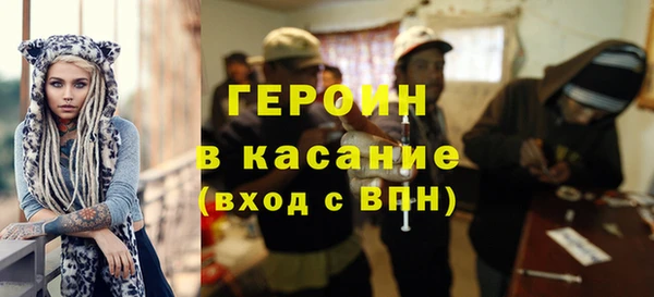 гидра Карпинск