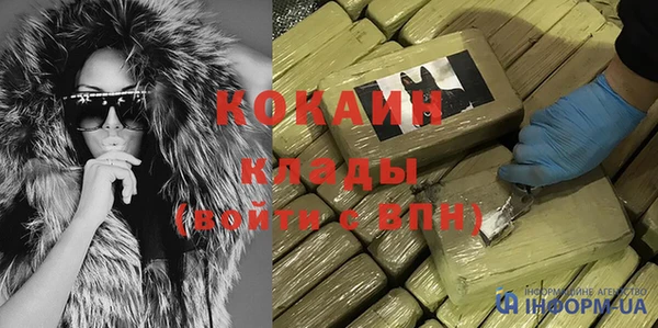 гидра Карпинск