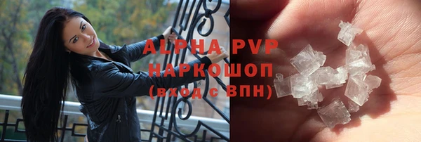 гидра Карпинск