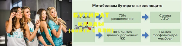 гидра Карпинск
