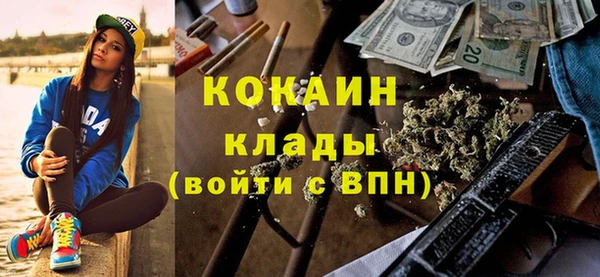гидра Карпинск