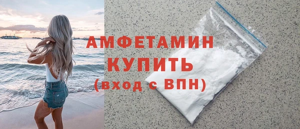 гидра Карпинск