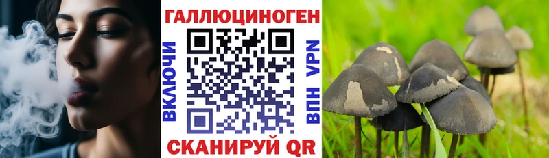 МЕГА сайт  Любань  Псилоцибиновые грибы GOLDEN TEACHER 